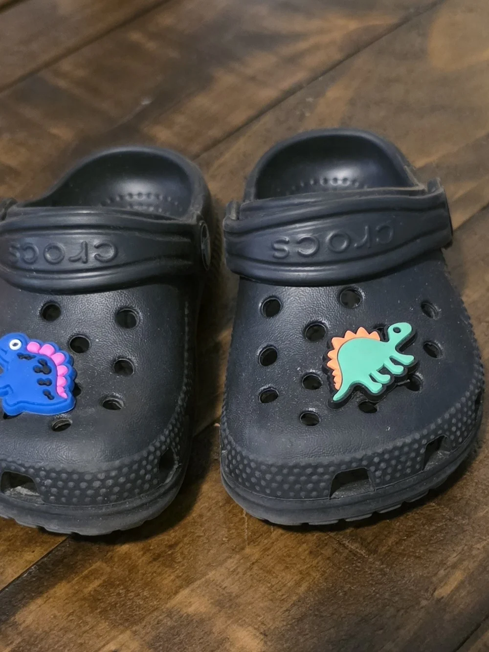 CROCS Kids Black Clogs with Blue and Teal Dinosaur Jibbitz